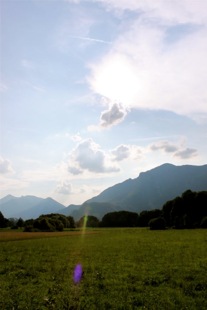 Field by Helmuth Kraus M.