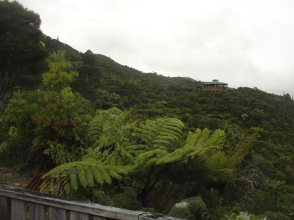 Driving creek railway and potteries, Coromandel - Waikato, North Island, New Zealand by Paul HART