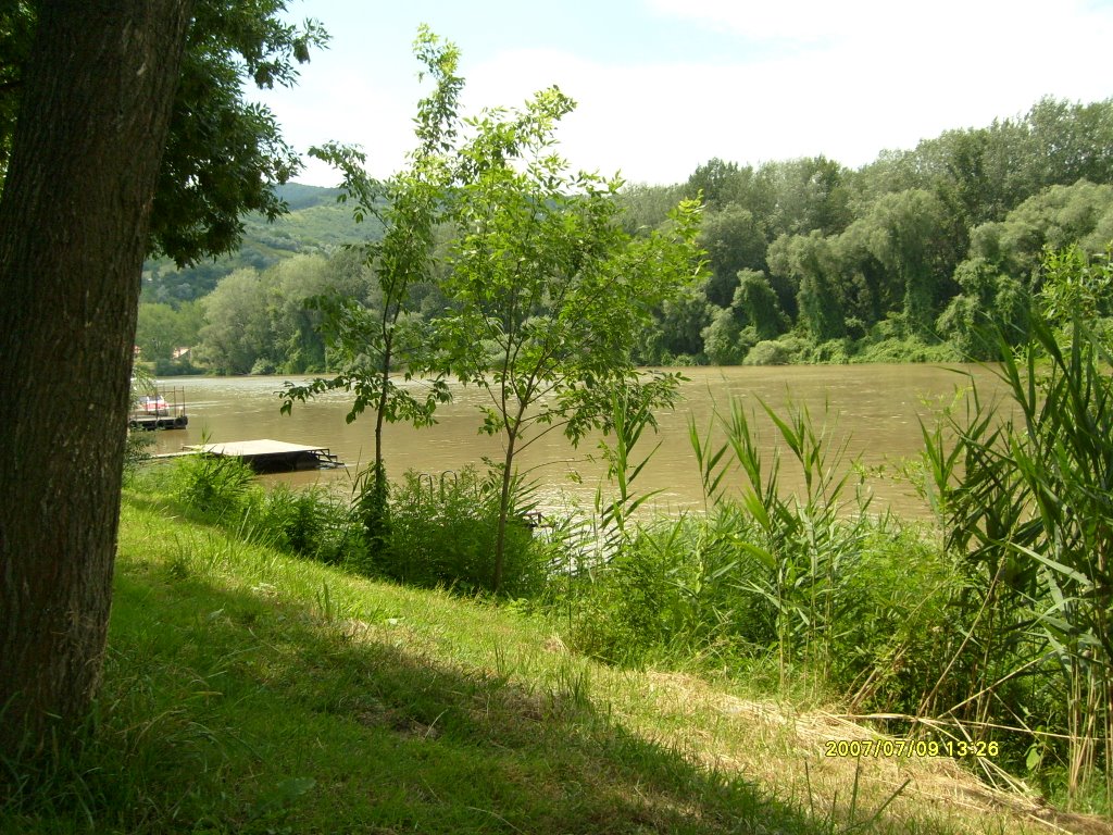 Tisza river 0.5 km from Tokaj by borsuuk