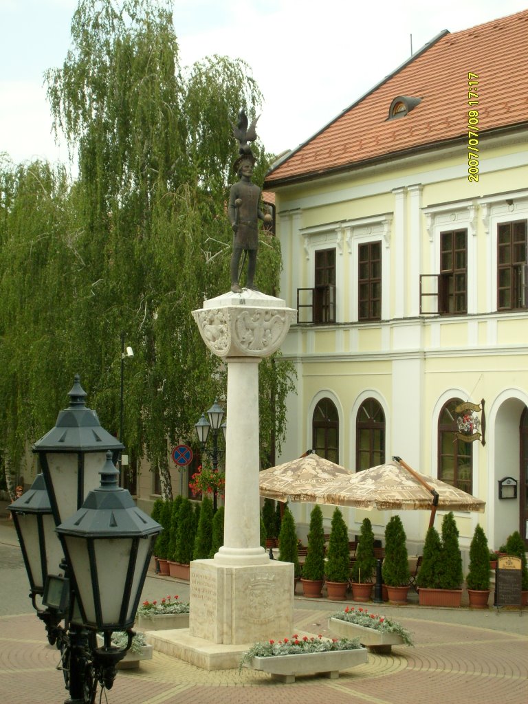 Statue in the town square by borsuuk