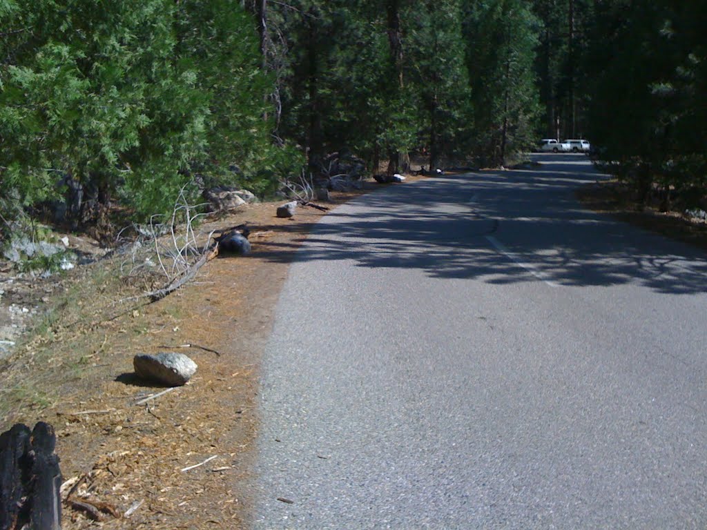 The absolute east end of the road (at this curve), at Road's End by karl44