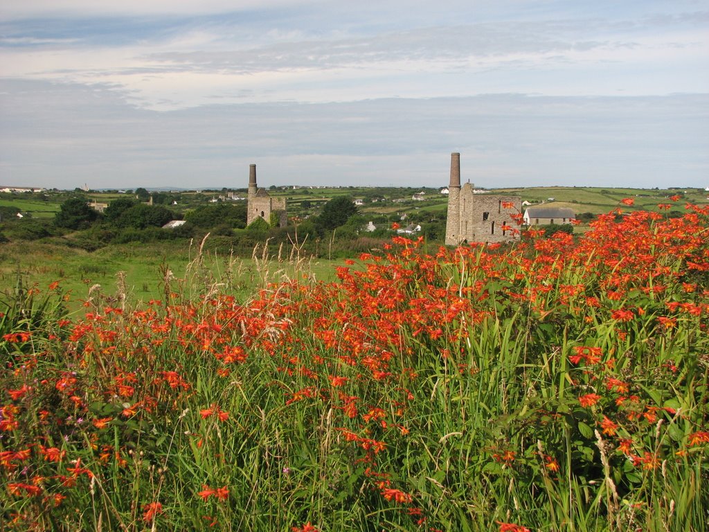 South Wheal Francis by mikerogers