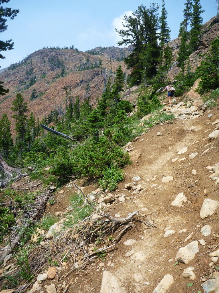 Ingalls Way Trail Approaching Ingalls Pass by Jason Grube