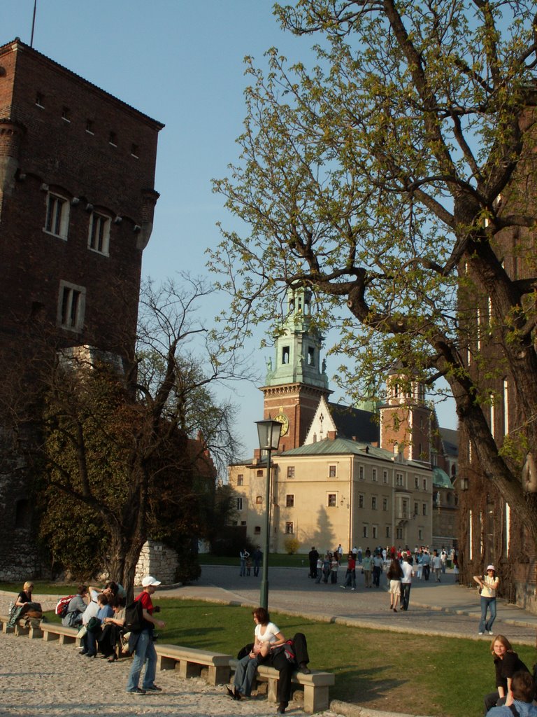 Wawel Royal Castle | Zamek Królewski na Wawelu by Jerzyk