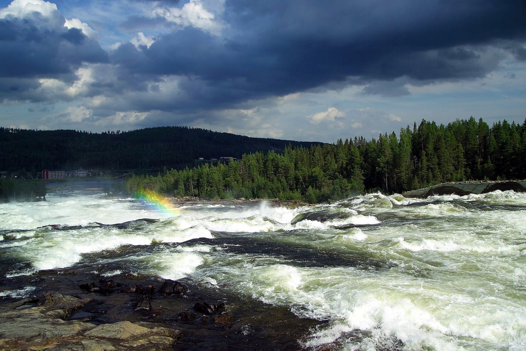 Storforsen Cascate by Andrea Auf dem Brinke