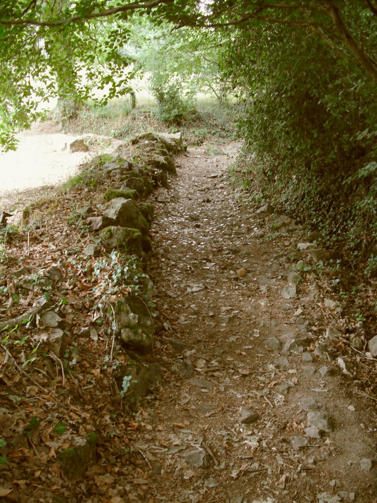 Le chemin de la chapelle by Pelluet Alain