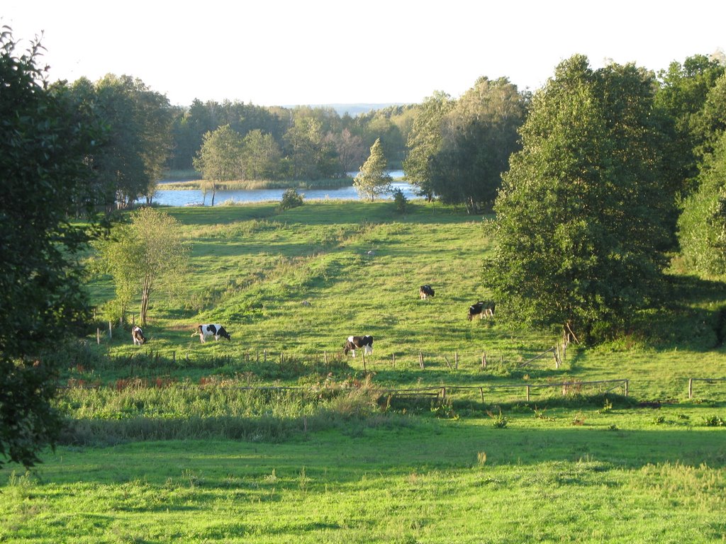 Strzelniki Lake, Masurian Lake District, Strzelniki, Poland by marcin.maduss