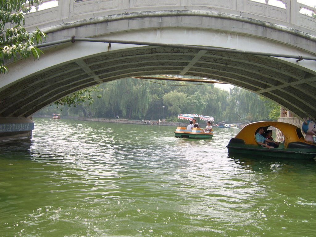 人民公园风景 The People's Park by vivian yan