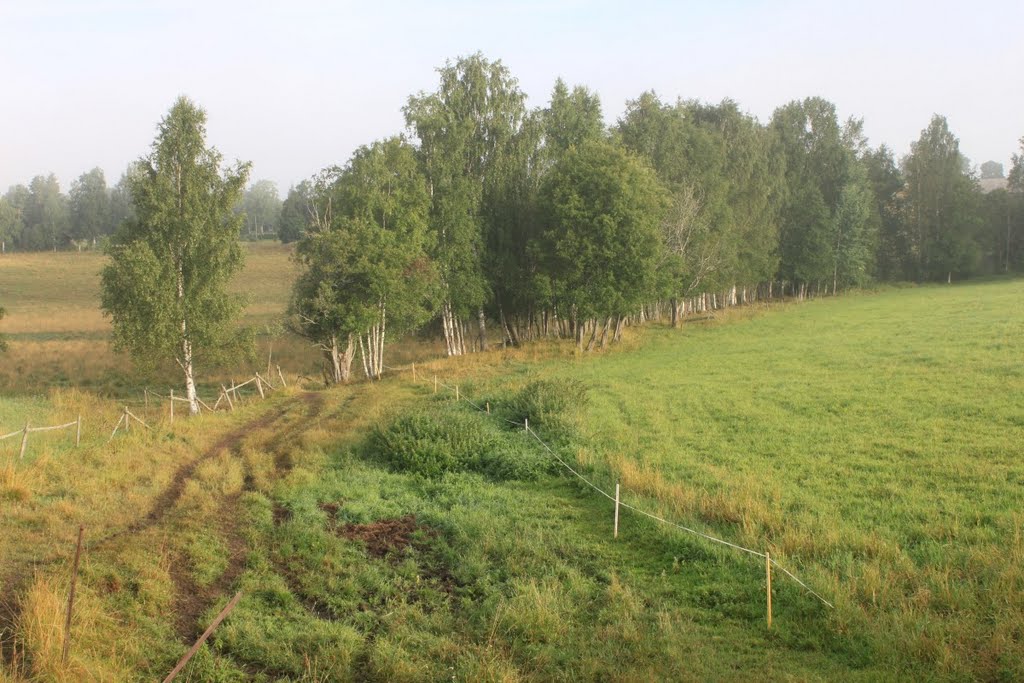 Betesmarken mellan Ytterbyn och Överbyn. Här gick landsvägen förr. by Webb-red