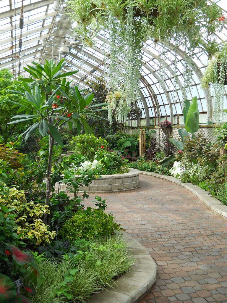 Lincoln Park Conservatory - Interior by DWGRadio