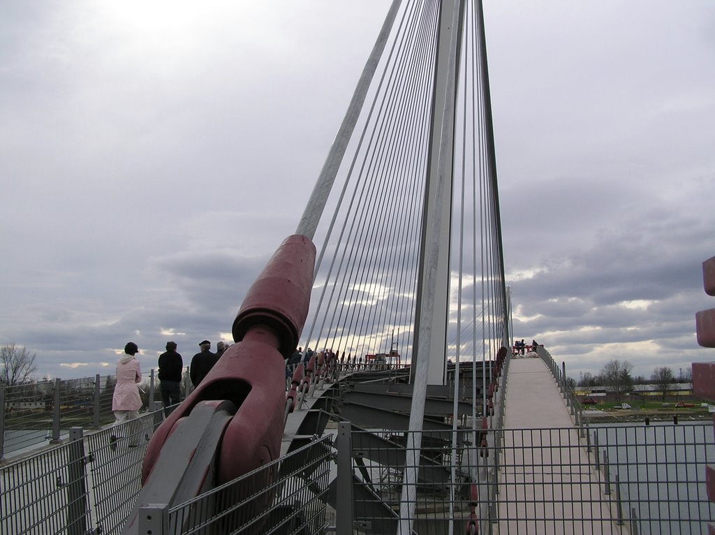 Kehl- Strassburg Fussgängerbrücke by Walter Scherb