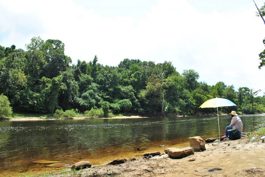 Ochlockonee River - Hot, Humid August Day by samfeltus