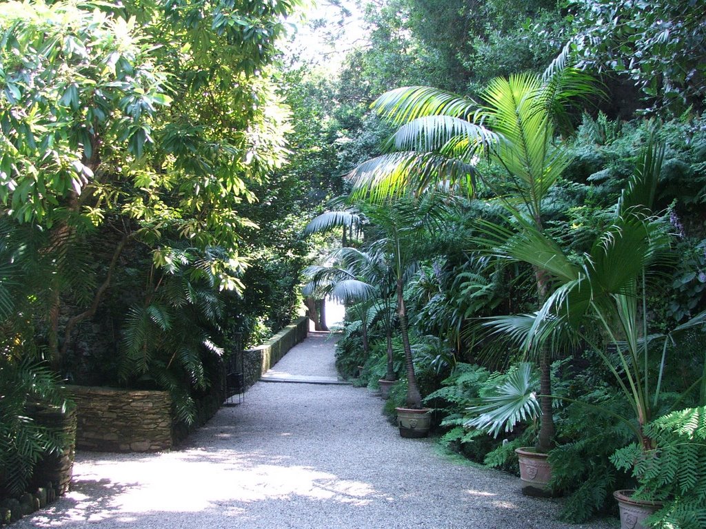 the beautiful Gardens of Isola Madre , Lago Maggiore by JanaSa