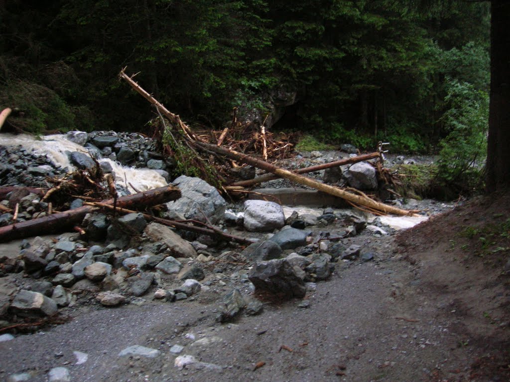 Mudslide in Gargellen. by Aad Droog