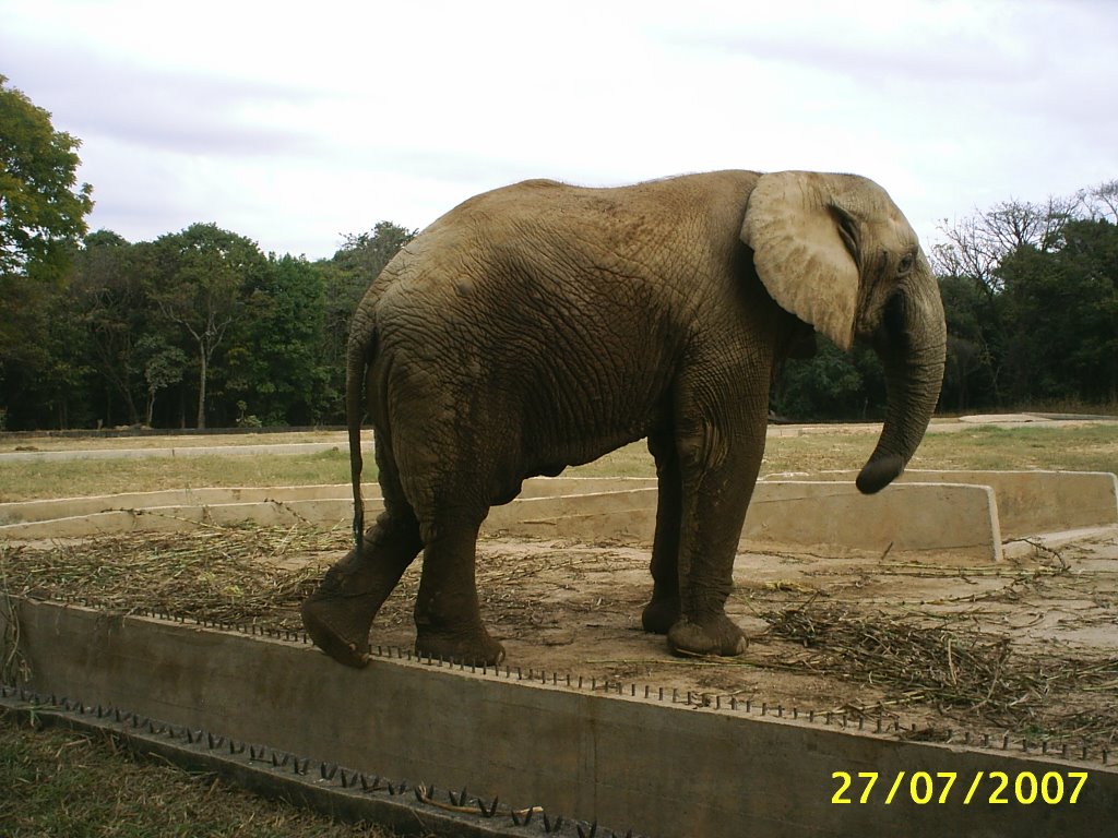 Zoológico de BH by Isadoraoliveiraalves