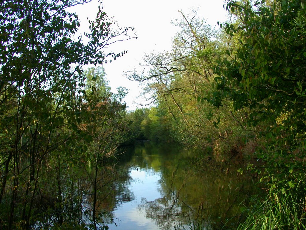 Zicht op binnenwater by Rudi van Dijk