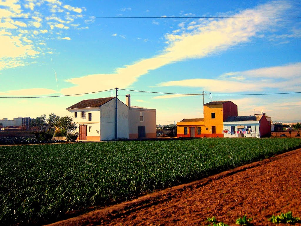 L'horta nord by A.Ascaso