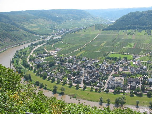 Ernst an der Mosel by gerega