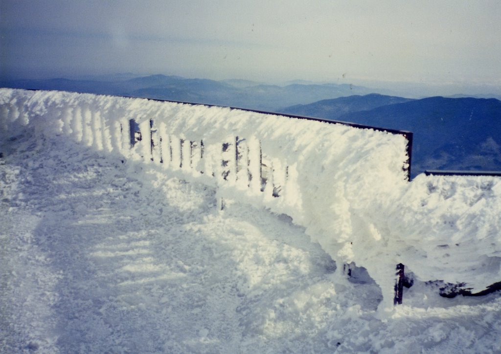 Wind-carved Summit Ice by Martin Pazzani