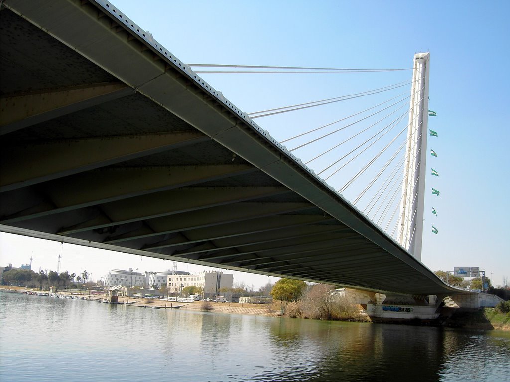 puente del Alamillo en el día de Andalucía by manuel godoy luna