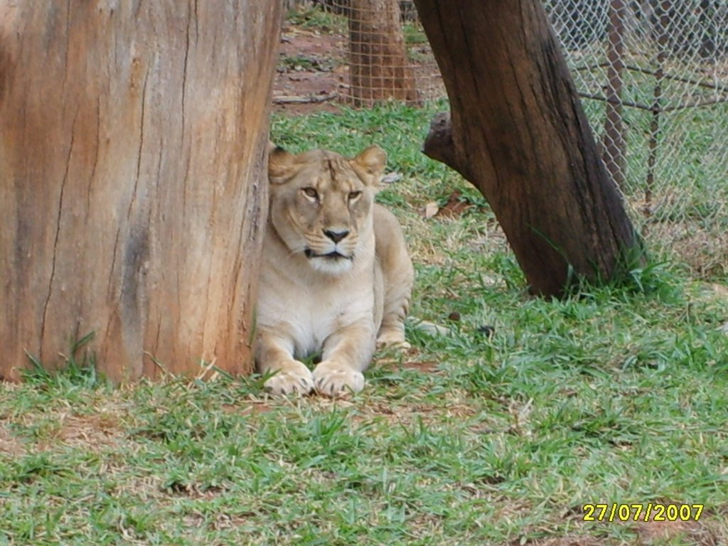 Jardim Zoológico - BH by rafaelaoliveiraalves