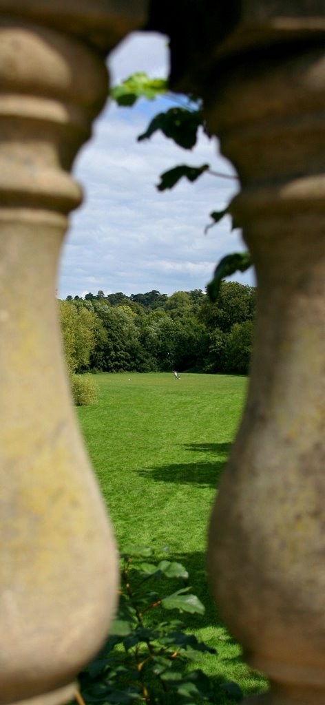 Magdalen college meadow by Pedro Venda