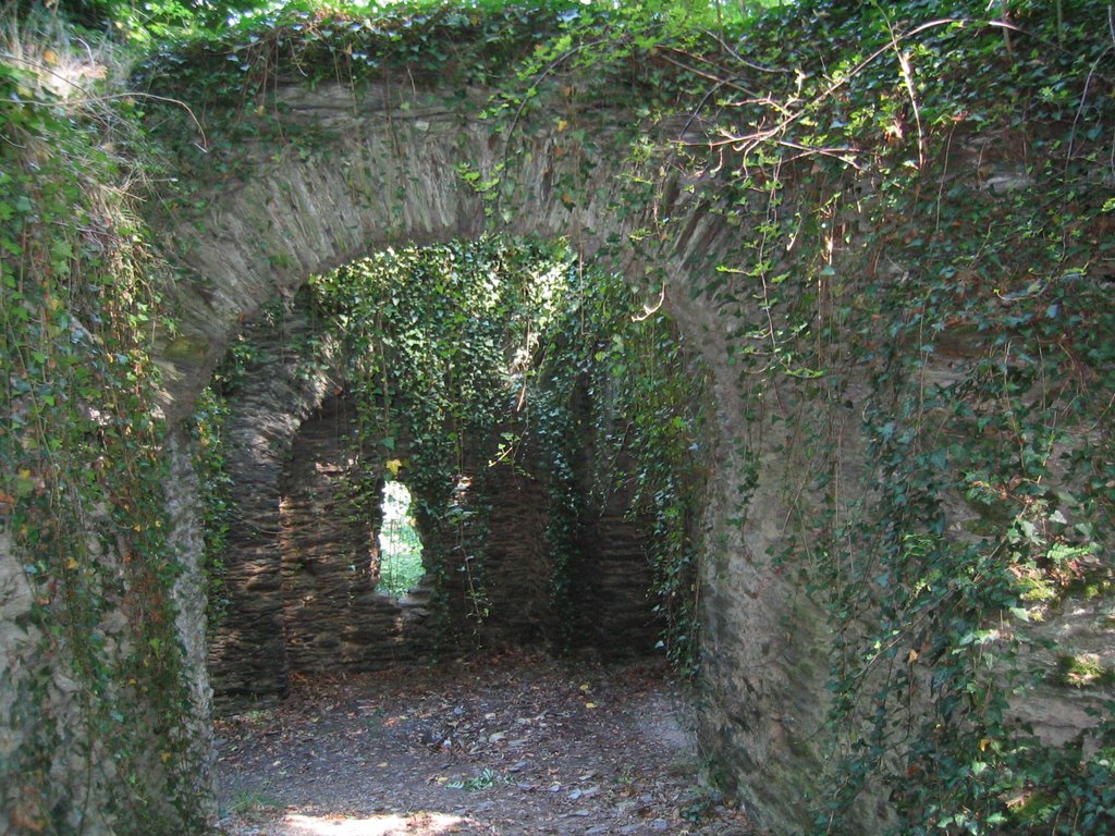 Burgruine der Familie vom Stein by derKlaus