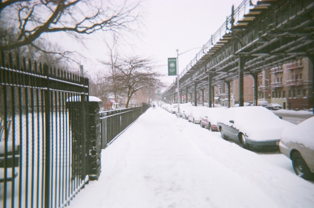 St.james Park Bronx New York by bronxbicycle