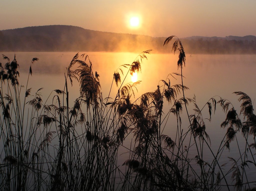 Sonnenaufgang by © alfredschaffer