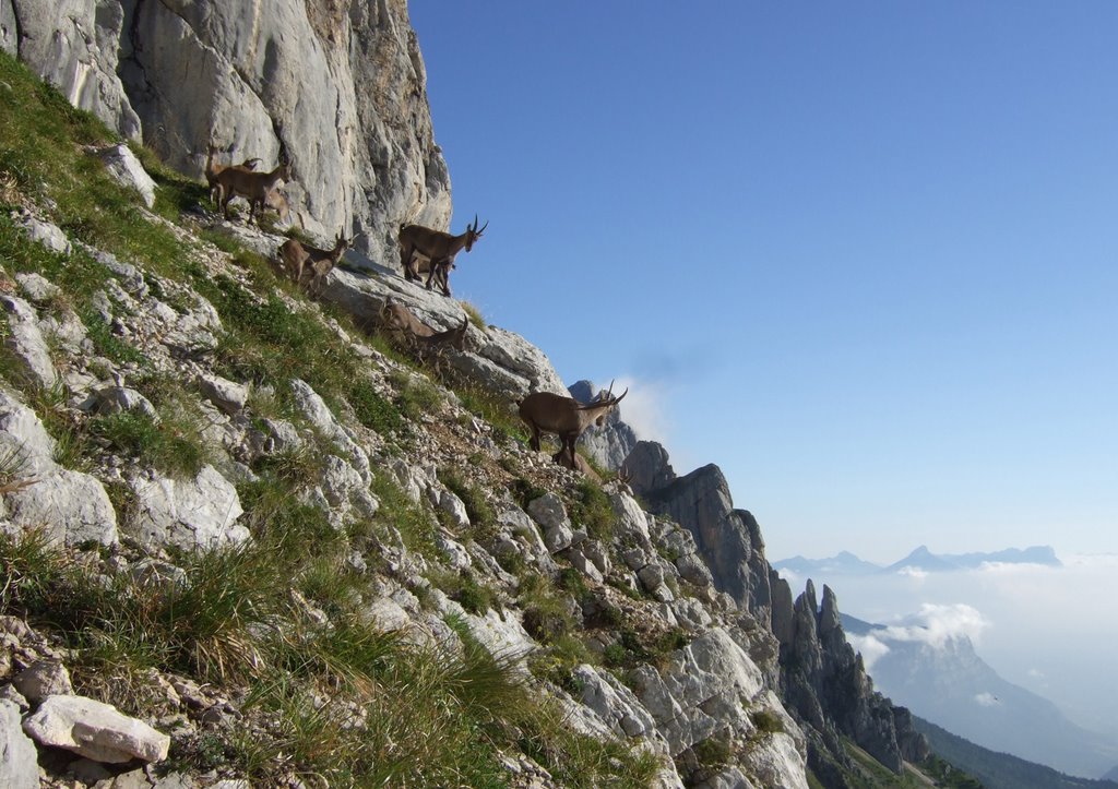 38450 Le Gua, France by Leo Leeuwenberg