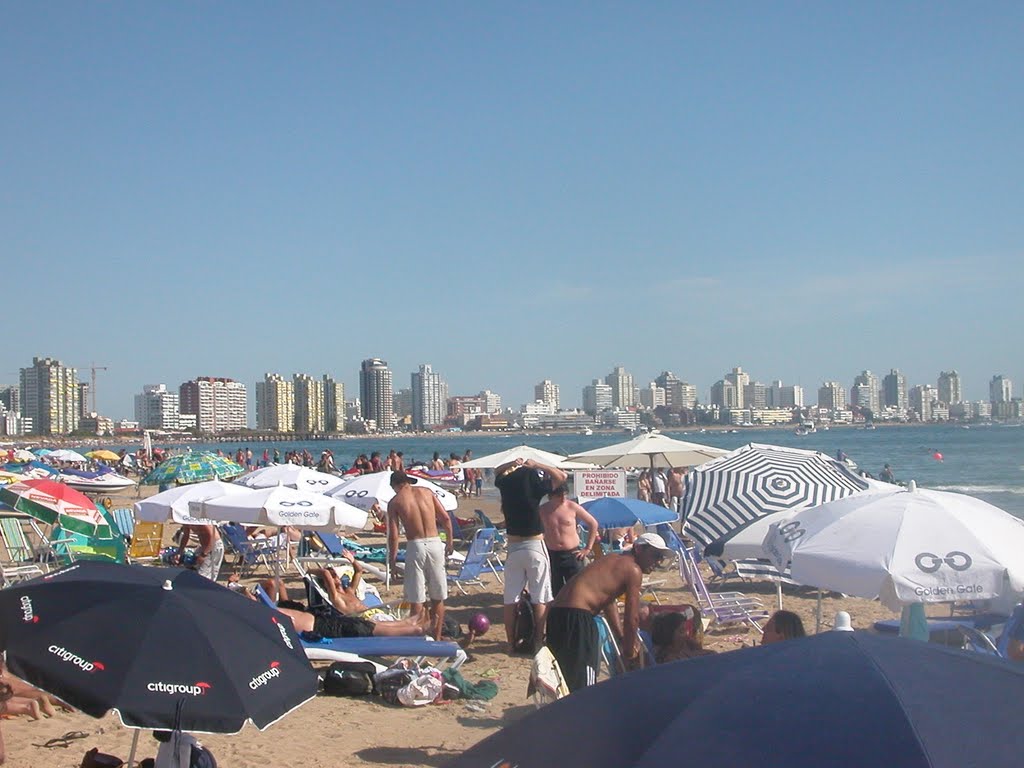 Punta del Este beach by web-o-nada