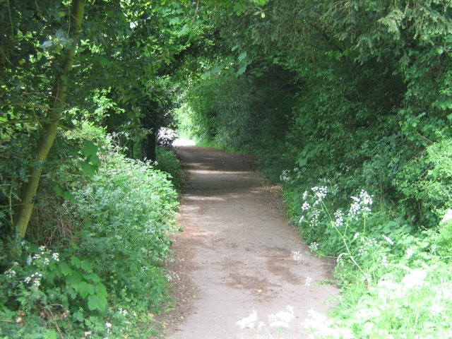 The footpath, outside Itchen Stoke by Robert'sGoogleEarthPictures