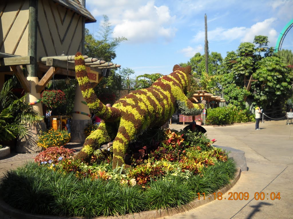 Busch Gardens by Ed McCoy