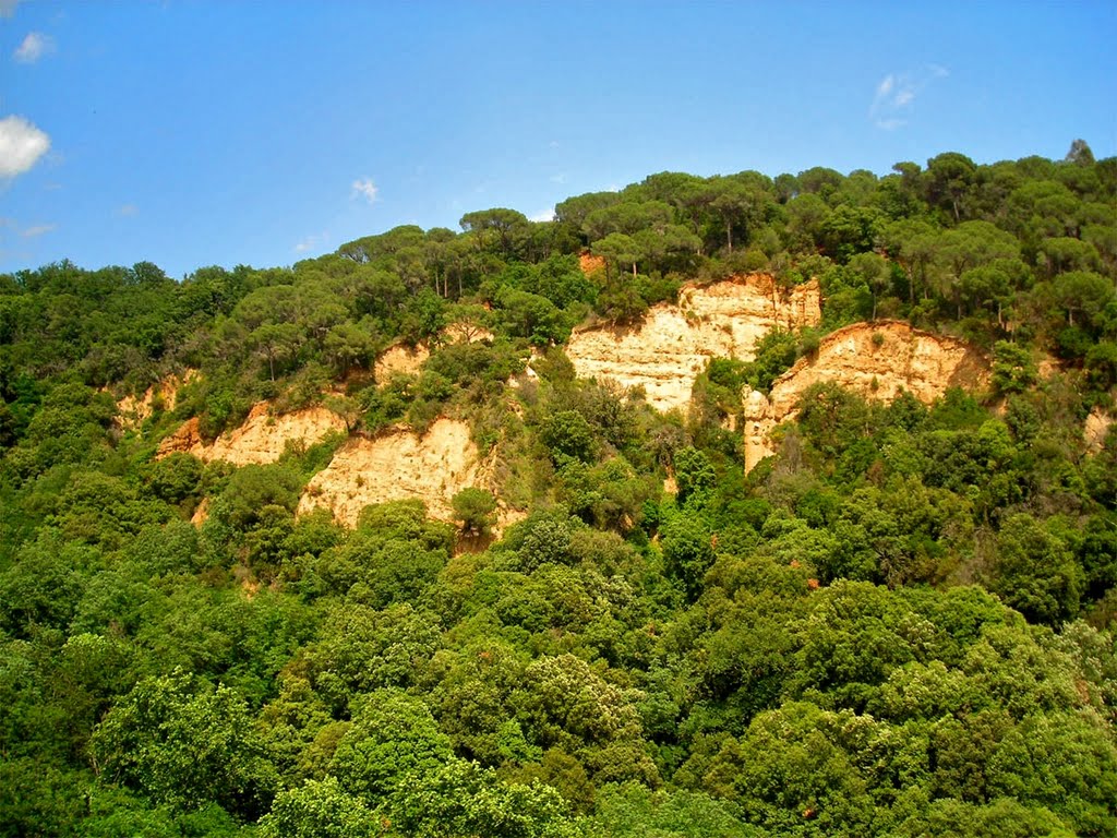 Penyes de can Jeroni, xaragalls prop de Sant Esteve de Palutordera by jordi domènech