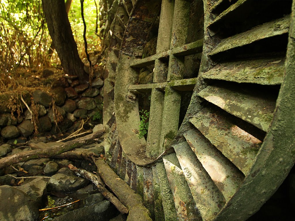 Tel Dan reserve - The Gristmill by CarmelH