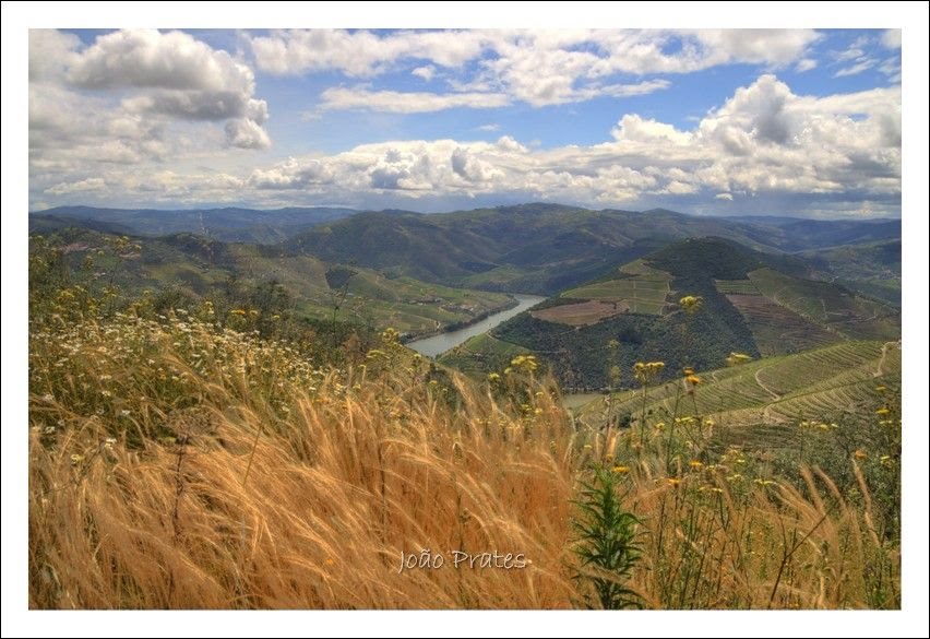 Gouvães do Douro - Uma janela para o Douro / A window to the Douro River by João Prates