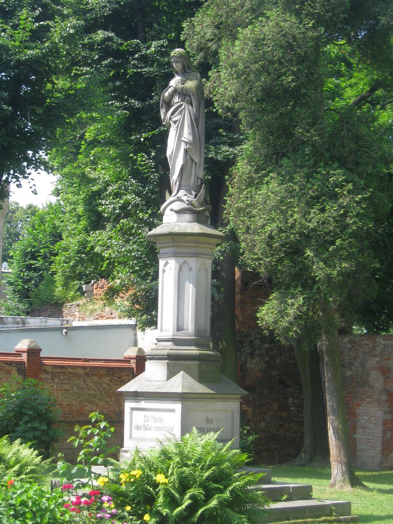 Statue bei Sankt Anna, Frankenstein by Christoph Rohde