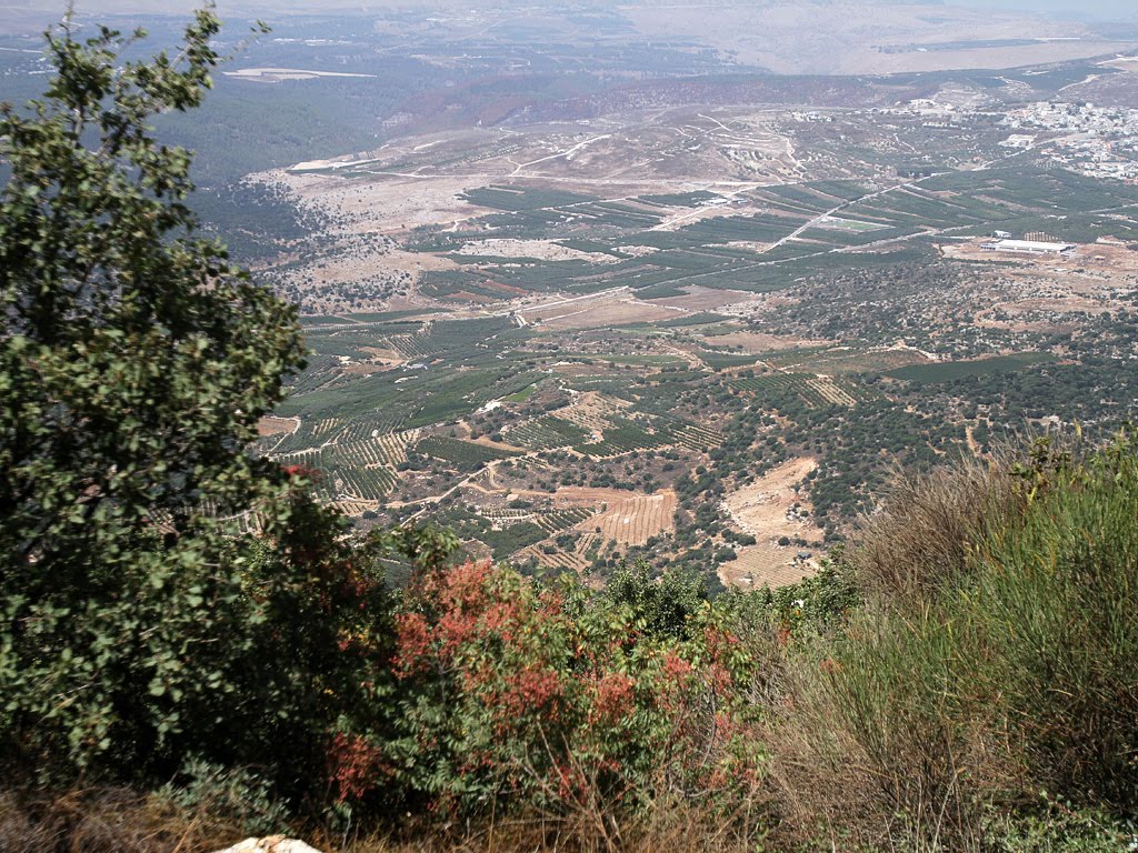 Upper Galilee from Mount Meron by CarmelH