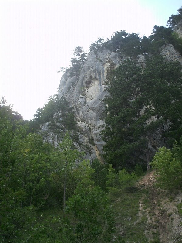 Gemeinde Hohe Wand, Austria by banitram