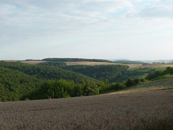 Wanderung der Fereinwohnung Göhler Odernheim am Glan by stargazer1701