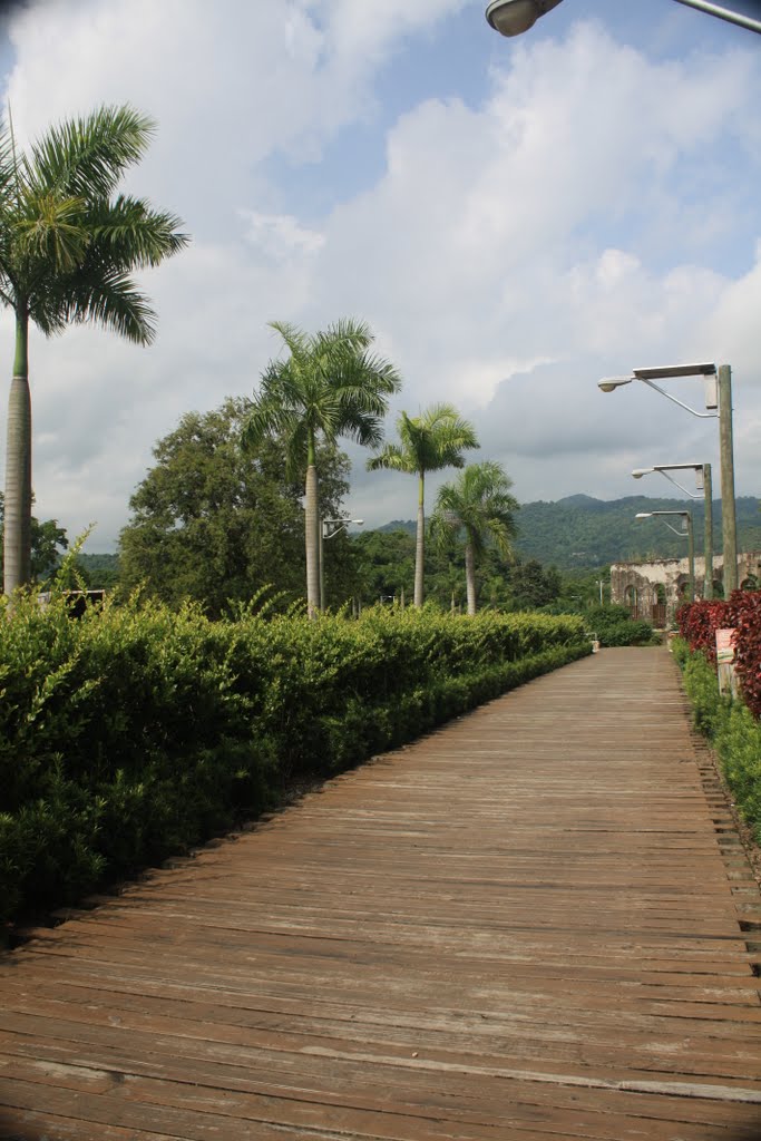 Jardín Botánico-Caguas by Ricardo David Jusino