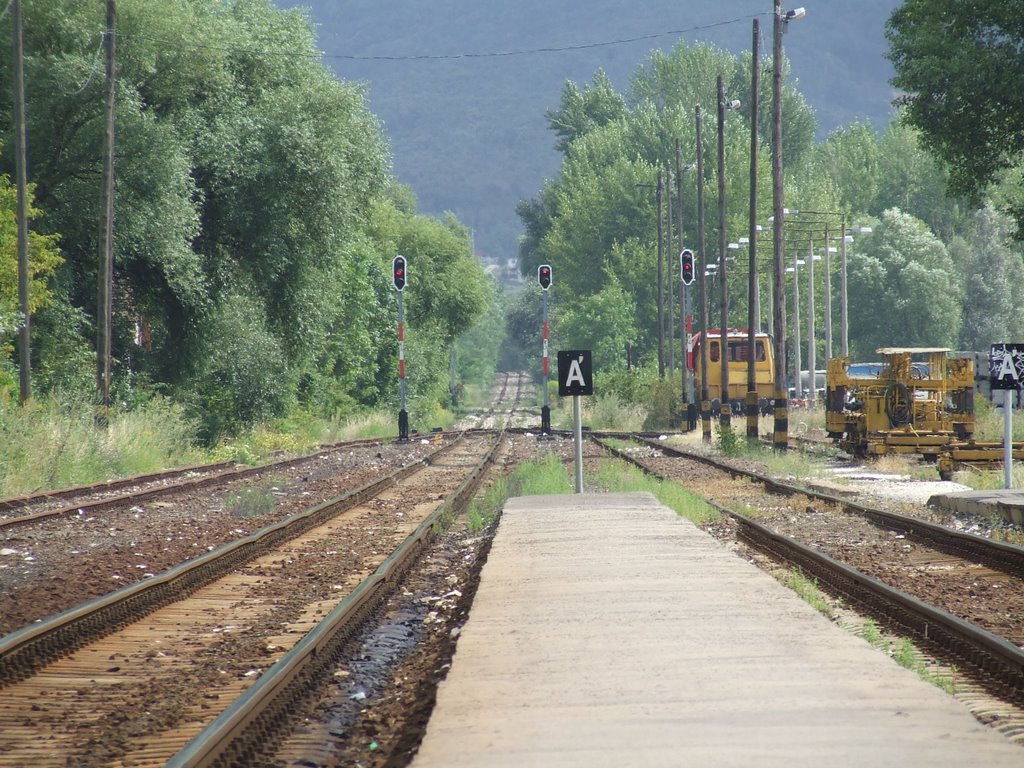 Leányvár-vasútállomás; Budapest felőli bevezető szakasza by Boki Atesz