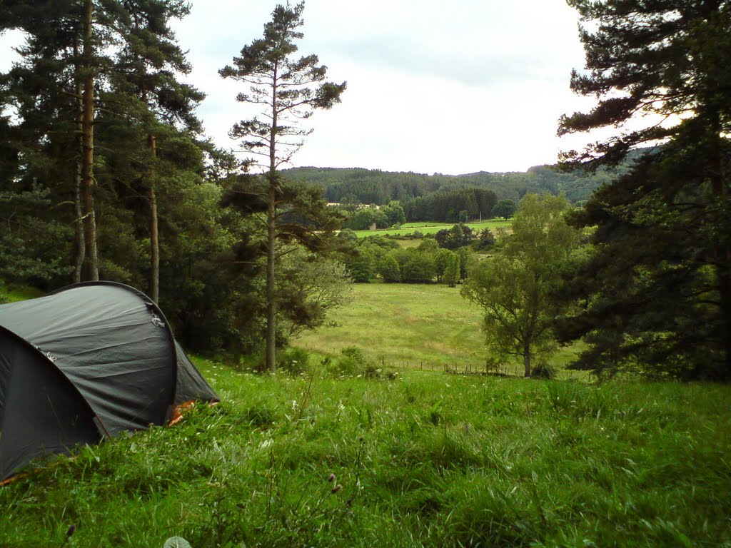 Petit coin de verdure pour un nouveau bivouac by fchosson