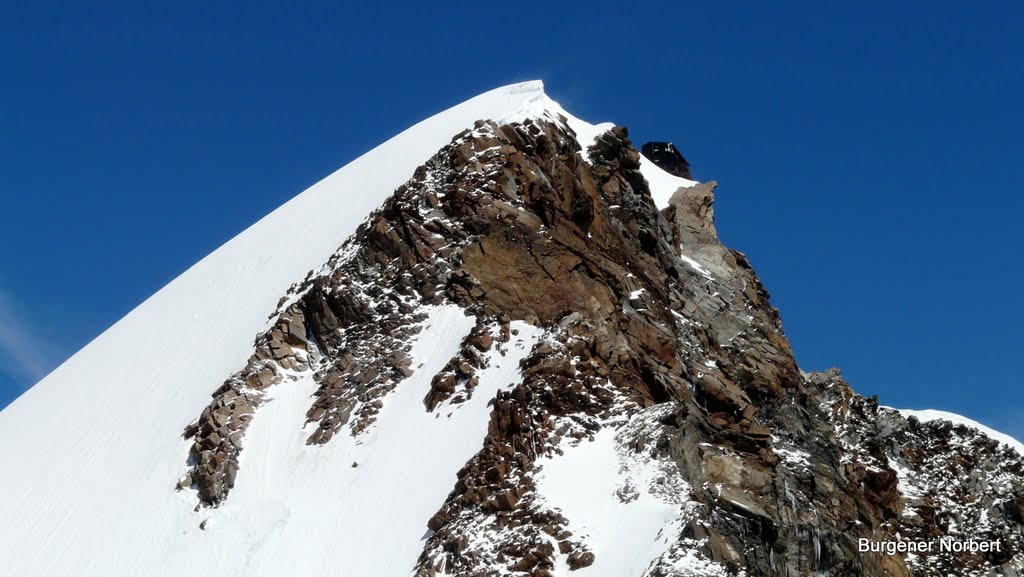 Signalkuppe 4554 müM. / Rifugio Regina Margherita by Burgener  Norbert