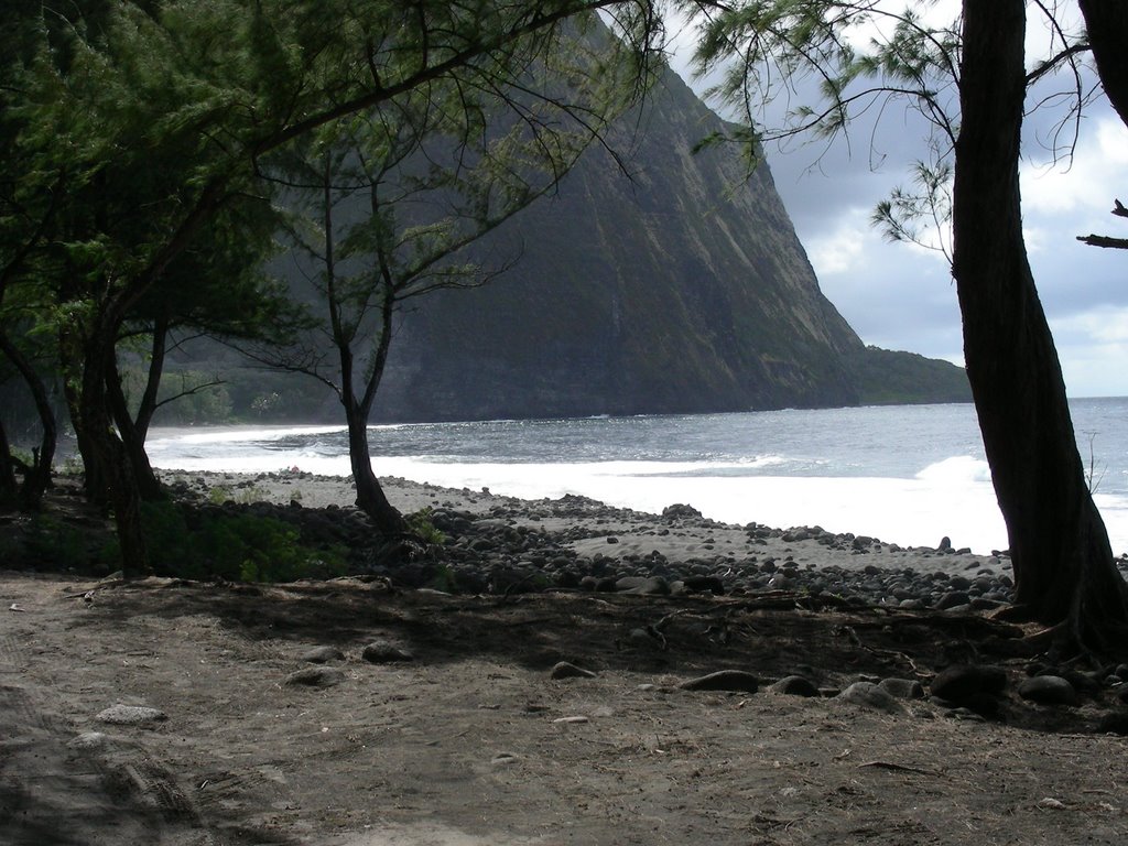 Beach in Waipio Valley by ldeano