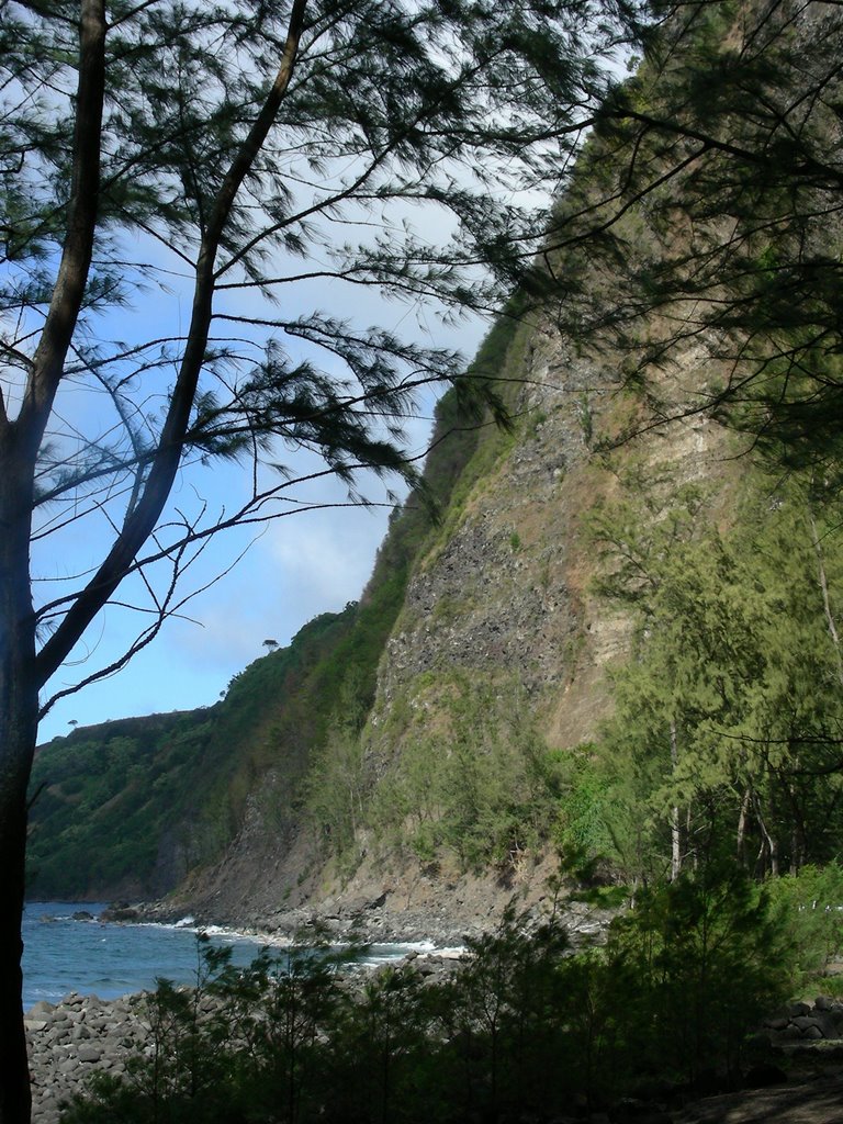 Southeast cliffs of Waipio Valley by ldeano