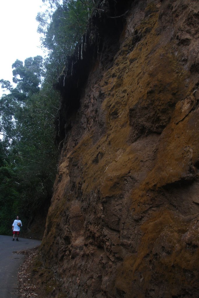 The cliff along the steep hill of Waipio Valley by ldeano