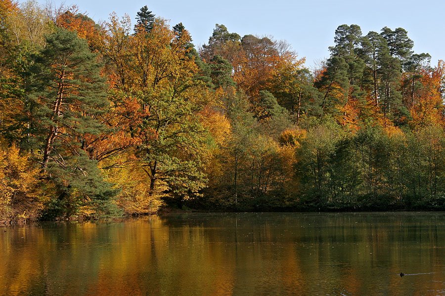 Herbst am Bärensee bei Stuttgart by Franz Haberhauer