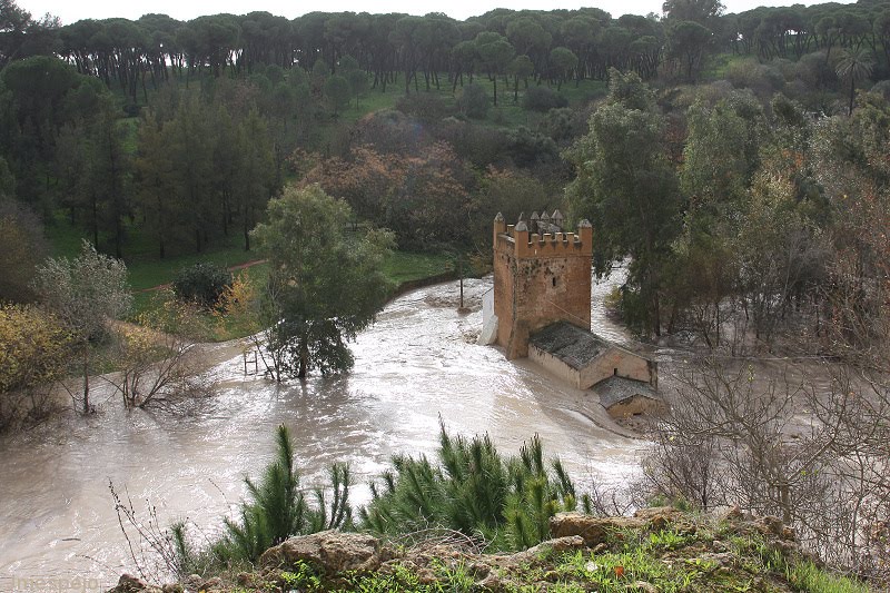 Crecida del río Guadaíra-Jmespejo by Jmespejo