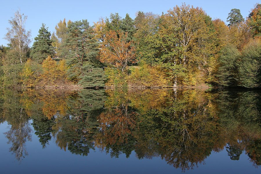 Herbst am Bärensee bei Stuttgart by Franz Haberhauer